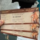고양이마법사 | 어린이를 위한 장화신은 고양이 비긴즈 뮤지컬 크리스마스에 아이와 관람 후기.