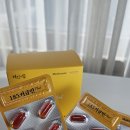 185 | 흡수율 높은 185 커큐민(쿠르쿠민) 추천 후기