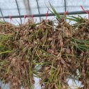 해림2농장 이미지