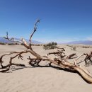 인본병원 이미지