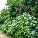 한림골드빌라스풀빌라 이미지