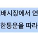 롯데제과글로벌로지스틱스