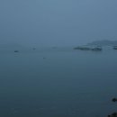 반도낚시 Daum카페