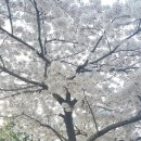 서면아이파크공인중개사사무소 이미지