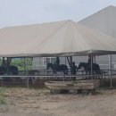 아라뱃길 승마클럽 이미지