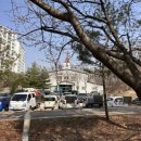 서농동게이트볼장 이미지