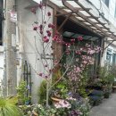 나만의 아코디언 카드지갑 만들기 이미지