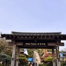 포항 구룡포 가볼만한곳 일본인가옥거리 동백꽃필무렵 촬영지 방문 후기