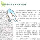 흥부네이야기 이미지