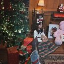 트렌디존 이미지