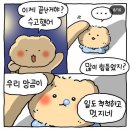 나보다 쬐금 먹으면서 운동량은 내 16배쯤 되고 성격도 밝고 이미지