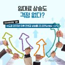 스테이가량 이미지