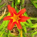 북면지역아동센터 이미지