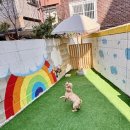 폴링인독 이미지