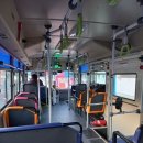 이시각 주요 부여다녀온 음닝 이미지