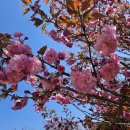 증평석유 이미지