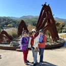 한밤의 사진편지 제3031호(2024 가을 단풍 여행 셋째 날 후기 [1] - 최경숙 / &#39;24/11/4/월)