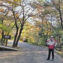 서귀포자연휴양림 이미지