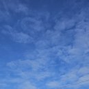 샘머리공원 이미지