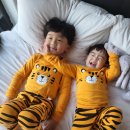 태평 | 고성 오션뷰 스파펜션 카펠라스파펜션 501호 후기