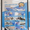 퍼펙트자동차 이미지