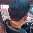 남성컷트 미스터블루