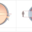 글라스바바안경 평택소사벌점 이미지