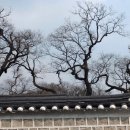 사라질 뻔한 한국 최초 서양화가의 옛 집, 고희동 가옥 이미지