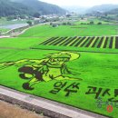 괴산꿀벌영농조합법인 이미지