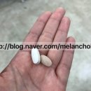 엘2알 이미지
