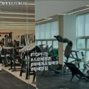 탑핏피티스튜디오 이미지