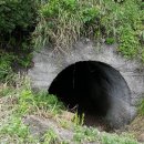 제주 일출봉 해안 일제동굴진지 이미지