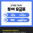 상어네 간식 | 세부 캐녀닝 투어 고래상어랑 모알보알까지 오캐모팩 여행 후기