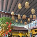 개바보(BARBER)# | 다낭 자유여행 - 2일 차