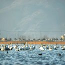 하단동179 이미지