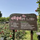 이곡장미공원 이미지