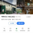 [거제도 고현카페] 이색 카페 짹짹커피 거제본점