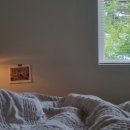 스테이 무림 이미지