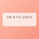 모다뷰티