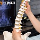 제일신경외과 네이버블로그
