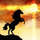 다사공인중개사사무소 이미지