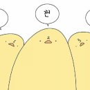 홍기현라벨르살롱
