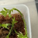 진우무역 | 1월 일상)_EP1. 내게 1월 1일은 없다고