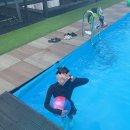 엘프라도 이미지