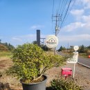 알밤오름하우스 이미지