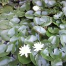 동혜농장 이미지