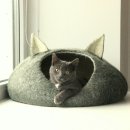 고양이집 이미지