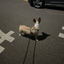 일진스포츠센터 | 개강하니 어떠냐고 물어보지마세요 😢 _2월 일기