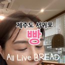 서귀동-1 | 서귀포 베이커리 추천｜올리브브레드부터 디저트까지 즐기는 서귀동 빵집 후기