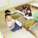 샘터어린이집 이미지